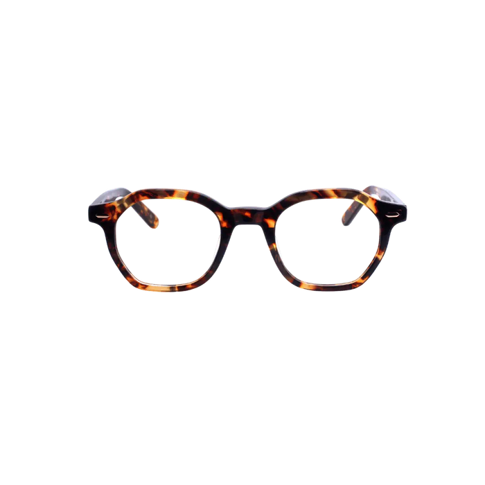 Clarity Dusk Large Frame Eyeglasses In Tortoise