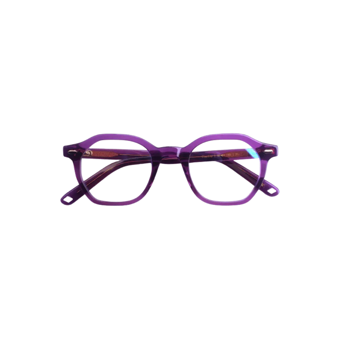 Clarity Haze Large Frame Eyeglasses In Purple