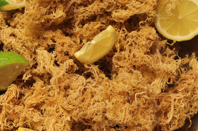 Raw Irish Sea Moss