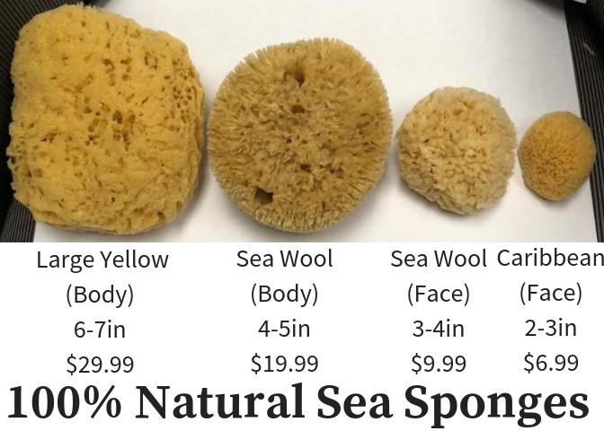 Natural Sea Sponges