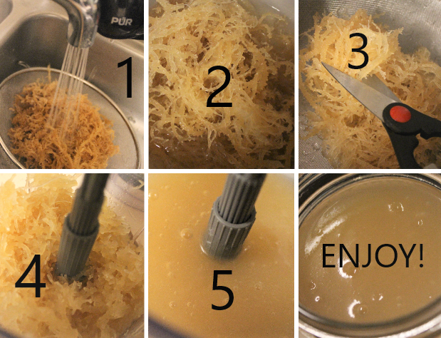 Raw Irish Sea Moss