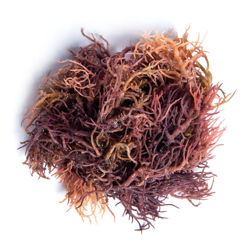 Full Spectrum Sea Moss (Non-rinsed with Sea Debris)