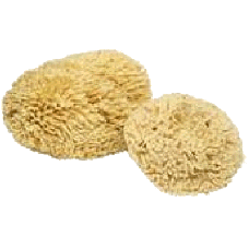 Natural Sea Sponges