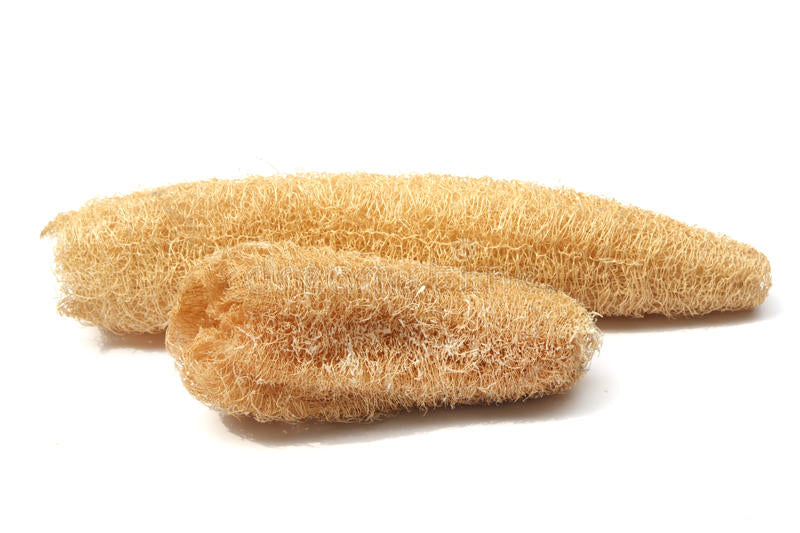 Natural Luffa Sponge