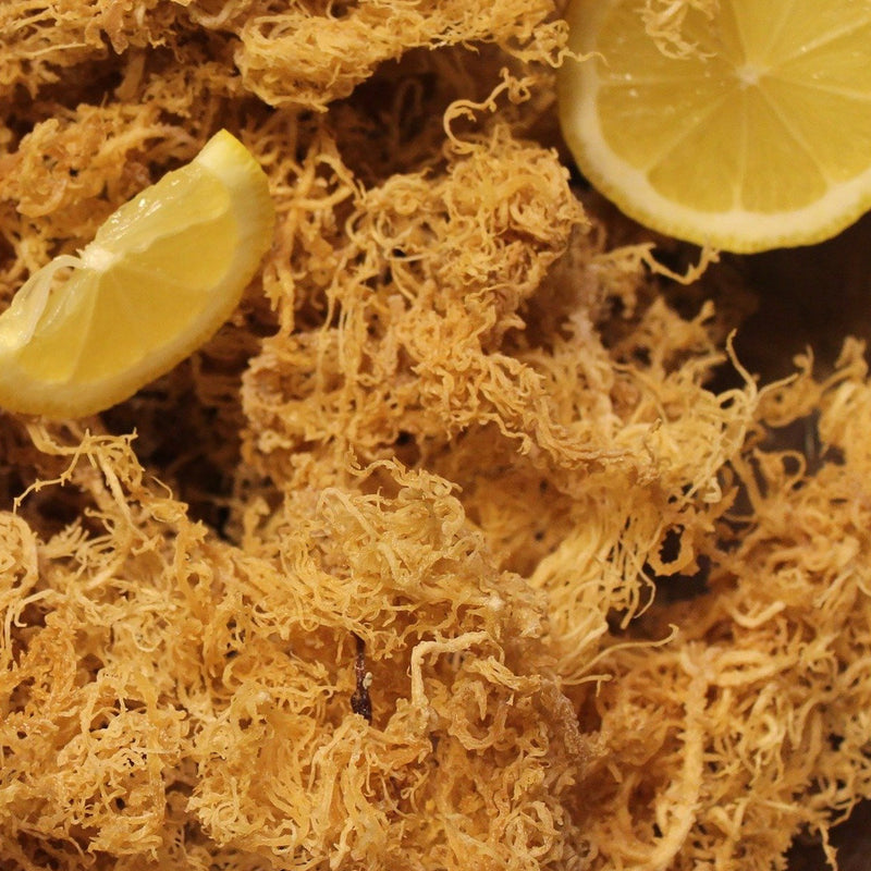 Raw Irish Sea Moss